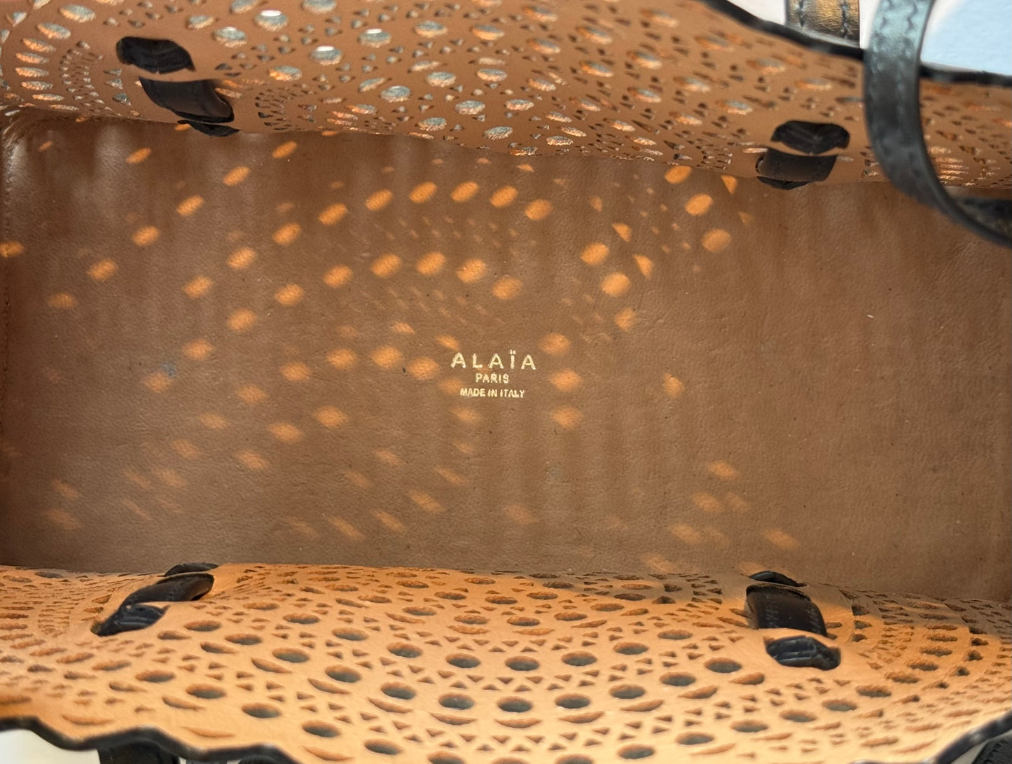 Alaïa Mina 32 Bag In Vivienne Calfskin