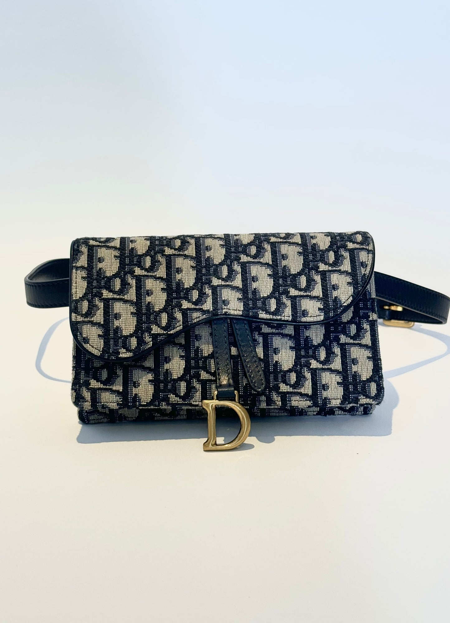 Dior Saddle Belt Bag Blue Canvas Jacquard oblique